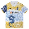 FC Porto Dragon Matchtröjor 2025-26