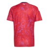 Costa Rica Matchtröjor Hemma Fotbollströja VM 2026