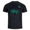 Irland Matchtröjor 2025-26