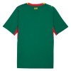Senegal Matchtröjor Borta Fotbollströja VM 2026