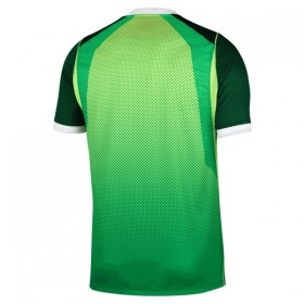 Nigeria Matchtröjor Hemma Fotbollströja 2026-27