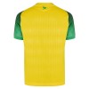 FC Nantes Matchtröjor Hemma Fotbollströja 2026-27