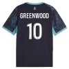 Olympique de Marseille Greenwood 10 Matchtröjor Borta Fotbollströja 2026-27 Olympique de Marseille Greenwood 10 Matchtröjor Borta Fotbollströja 2026-27