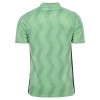 AS Saint-Etienne Matchtröjor Tredje Fotbollströja 2026-27