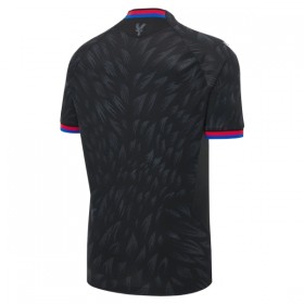 Crystal Palace Matchtröjor Borta Fotbollströja 2026-27