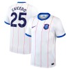 Chelsea Caicedo 25 Matchtröjor Tredje Fotbollströja 2026-27 Chelsea Caicedo 25 Matchtröjor Tredje Fotbollströja 2026-27