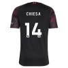 Liverpool Chiesa 14 Matchtröjor Barn Tredje Fotbollströja 2026-27